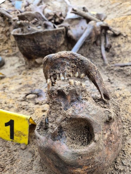 скелет останки тело тело польша вторая мировая война Солдаты умерли во время боевых действий